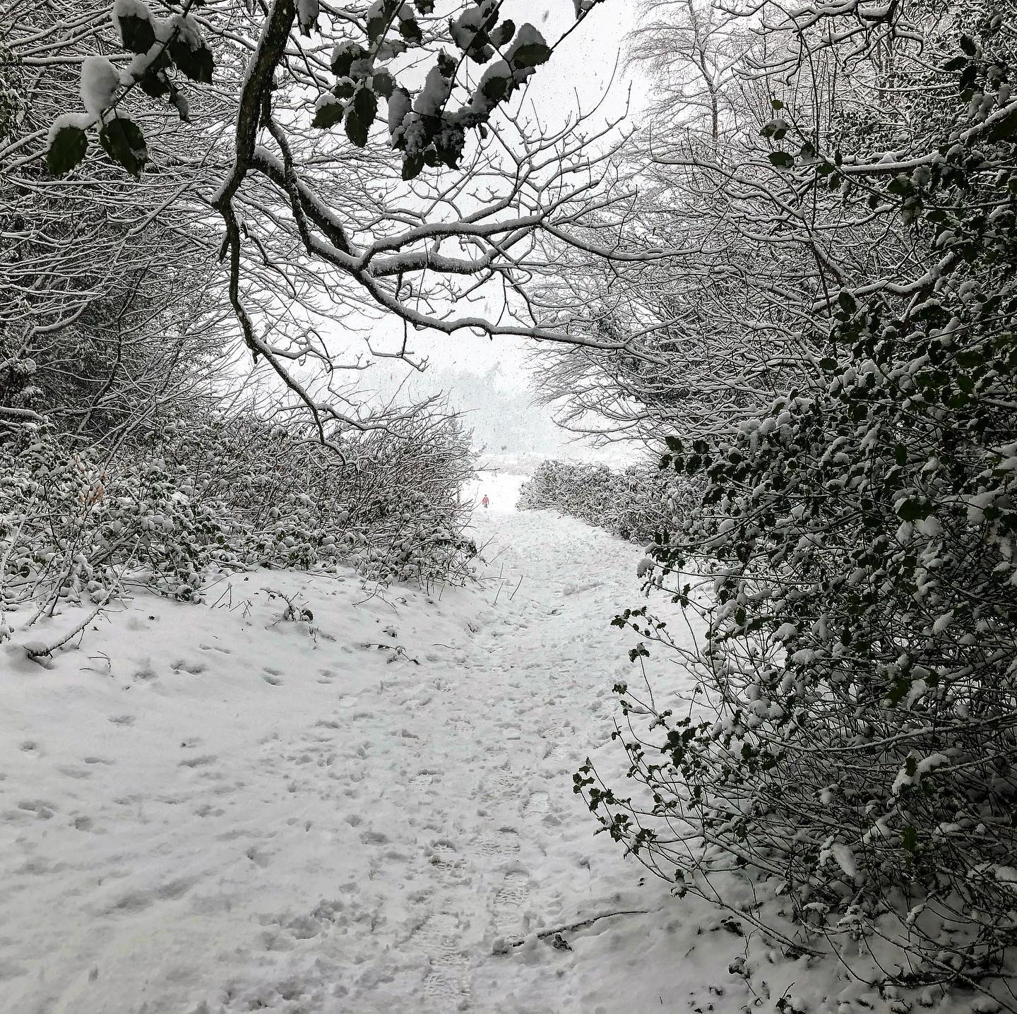 Photography 13