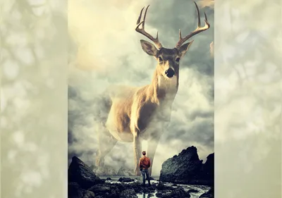Creating Atmosphere In Design - Image 8