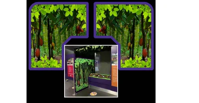 Cadbury World Projects - Image 4