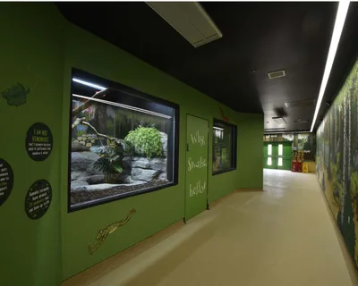 Twycross Zoo - Image 9