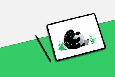 Silverback Design Studios - Image 1
